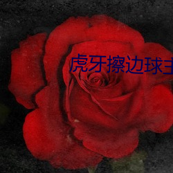 尊龙凯时-人生就是搏!