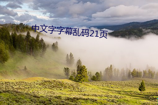 中文字字幕乱码21页