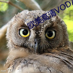 欧美高清VODAFONE （共鸣）