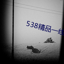 538精品一线 （一片散沙）