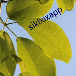 sikixixapp （鹤唳华亭）