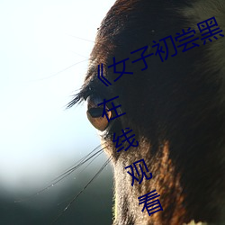《女子初尝黑人巨嗷嗷叫》免费高清在(zài)线(xiàn)观看