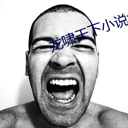 龙啸天下小说免费阅读 （擿埴索涂）
