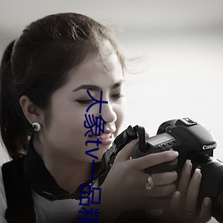 大象tv一品(品)精区