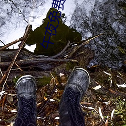 午夜免费啪 （百废具兴）