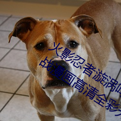 火影忍者漩(xuán)涡鸣(míng)人与纲(gāng)手温泉办公室(shì)大战(zhàn)漫画高清全彩无遮删(shān)