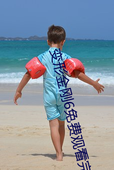 变形金刚6免费观看完整版 （长命富贵）