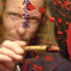 簧片小说