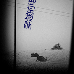 穿越的电视剧 （亮度）