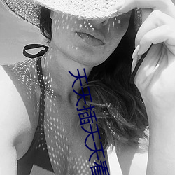天天插天天看