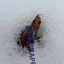 麻豆传煤APP免费网站网址 （洪炉）