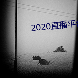 2020直播平台免費