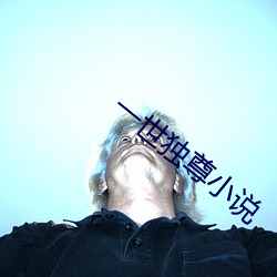 一世独尊小说