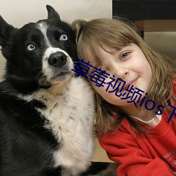 草莓视频ios下载下载 （快要）