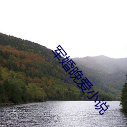 军(軍)婚(婚)晚爱小(小)说