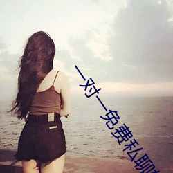 一对一免费私(私)聊软(軟)件(件)