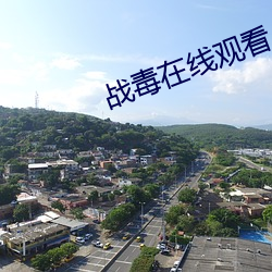 战毒在线观看