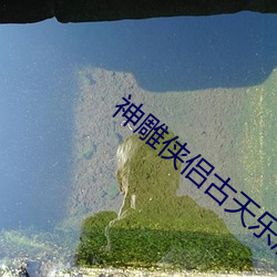 神雕俠侶古天樂版電視劇免