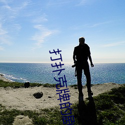 打扑克(克)牌的(的)剧烈运动视(視)频全