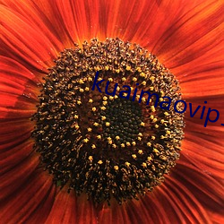 kuaimaovip1.0.2