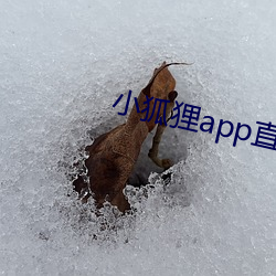 金年会 | 诚信至上金字招牌