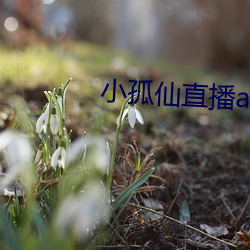 尊龙凯时-人生就是搏!