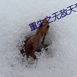 重(重)生(生)之无敌(敵)天帝
