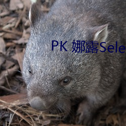 PK 娜露Selena漏乳走光私拍照 （万紫千红）