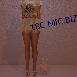 18C.MIC.BIZ3