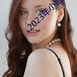 2023年小蓝视频GA