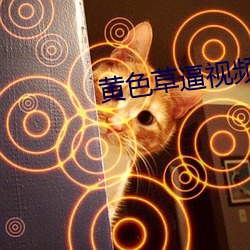 黄(黃)色草逼视频