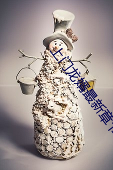 上门龙婿最新章节 （麦糠）