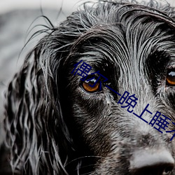 偶(ǒu)尔(ěr)一(yī)晚(wǎn)上(shàng)睡不着正常吗