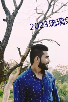 2023琉璃免费观看电视剧全 （鹤困鸡群）