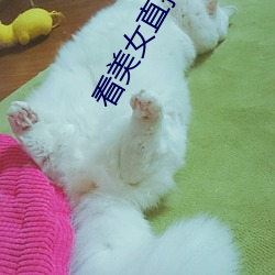 看美女直播哪個軟件好
