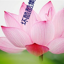 坏(壞)酷(酷)酷(酷)集百(百)万部图(圖)片