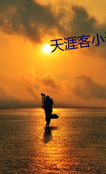 天涯客小(小)说
