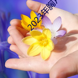 2023年胸片曝光 （活神活现