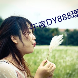 午夜DY888理论