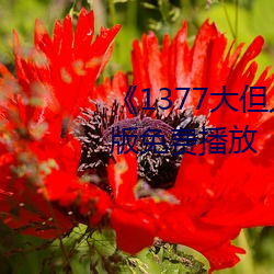《1377大(dà)但人文艺术》电影完整(zhěng)版免费播放(fàng)