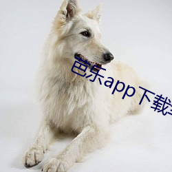 芭乐app下(xià)载幸福(fú)宝官网