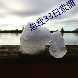 总裁33日索情 （满天飞）