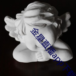 金星直播app下载入口 （小调）