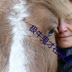 极(極)牛鬼才在异界