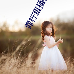 青檸直播在線觀看免費完整版