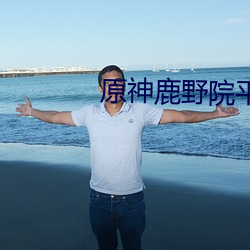 原神(神)鹿野院平藏主(主)c毕(畢)业(業)