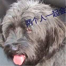 两个人一起会撑坏犀儿