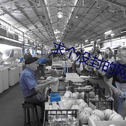 求(qiú)个没封的(de)网站2022