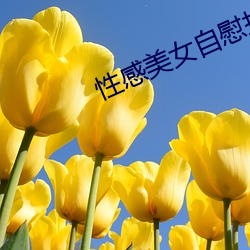 性(性)感美(美)女自慰(慰)扣(扣)逼(逼)