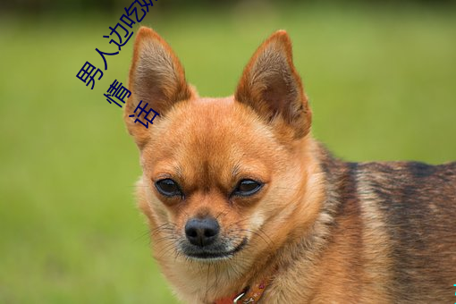 男人(rén)边吃(chī)奶边摸边(biān)做刺(cì)激(jī)情话 男人边吃(chī)奶边(biān)摸边(biān)做刺激情话